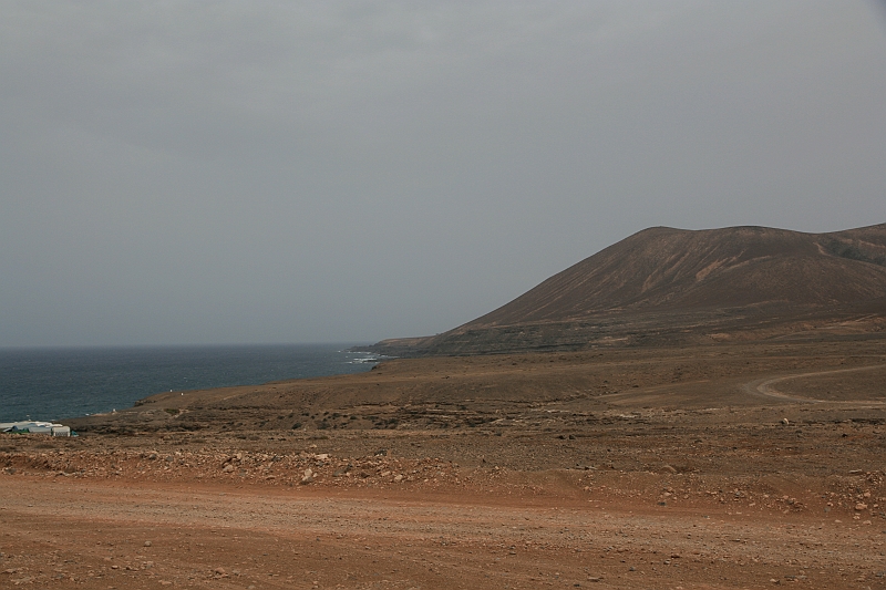 Kanary_2010 035